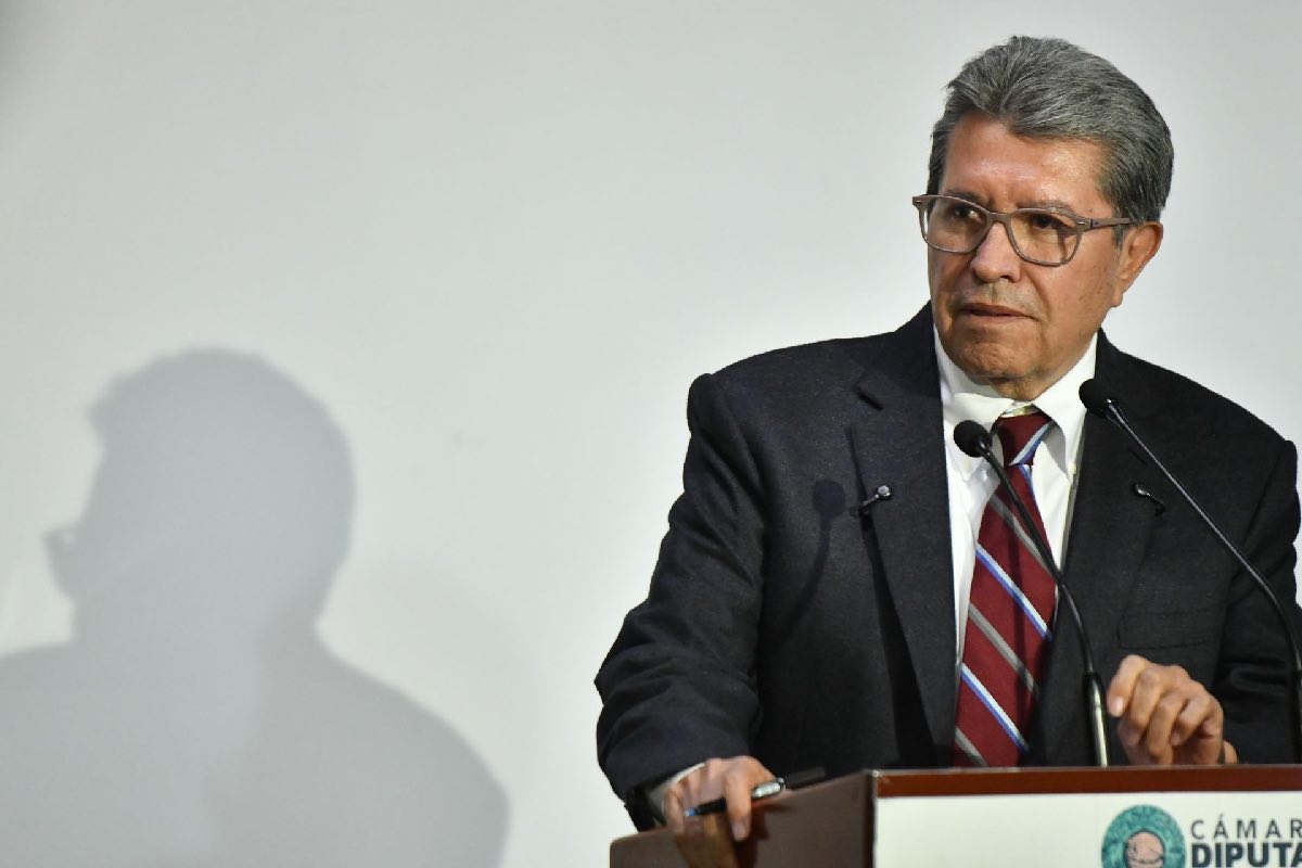 reforma-electoral-sheinbaum-plan-b-amlo-animal-politico-3