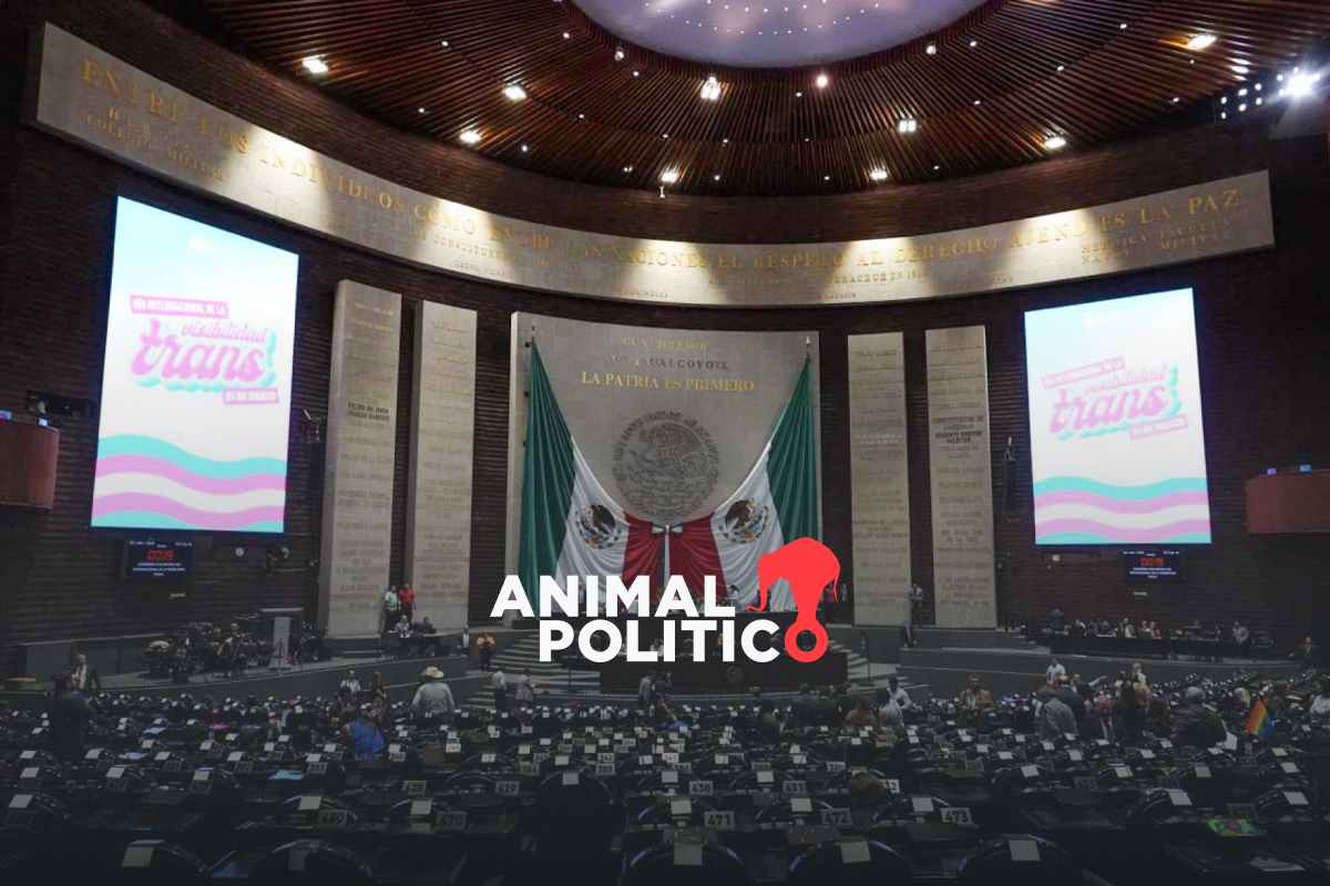 Diputados aprueban en comisiones crear el Fondo de Pensiones para el Bienestar