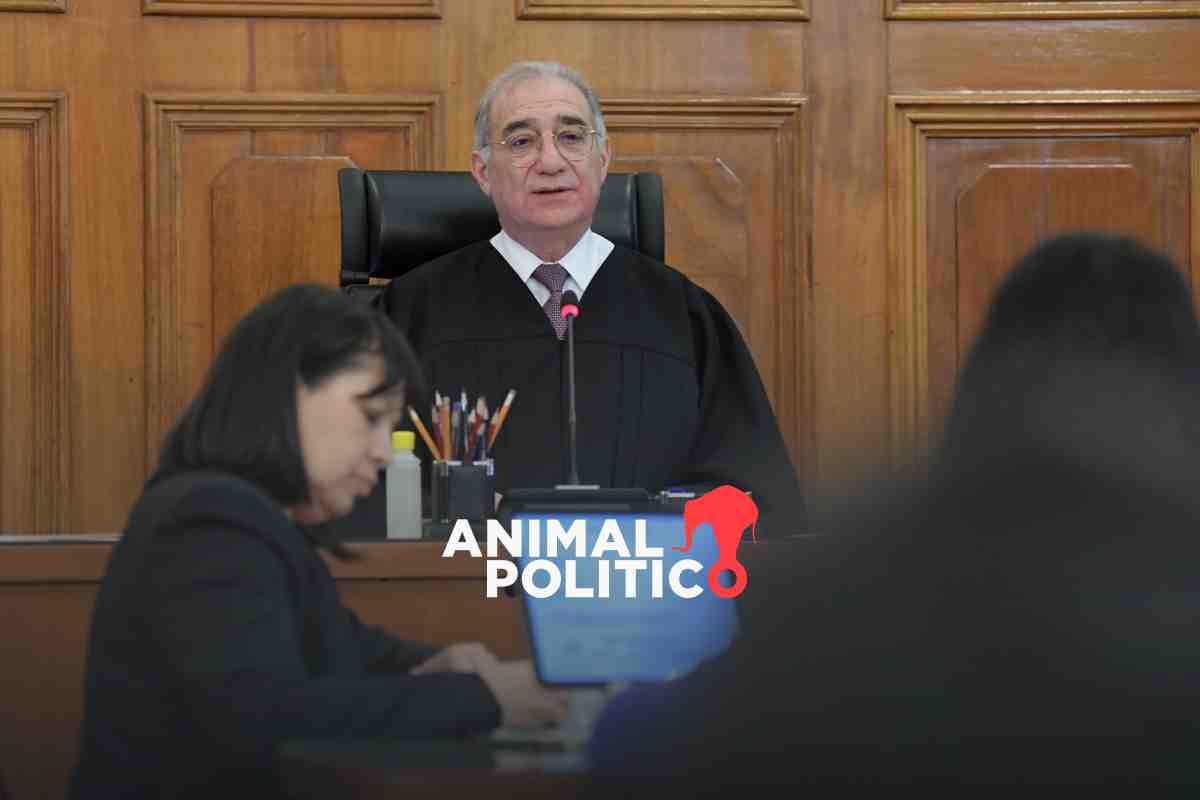 Ministro Pérez Dayán rompe bloque que perfilaba invalidar parcialmente reforma judicial