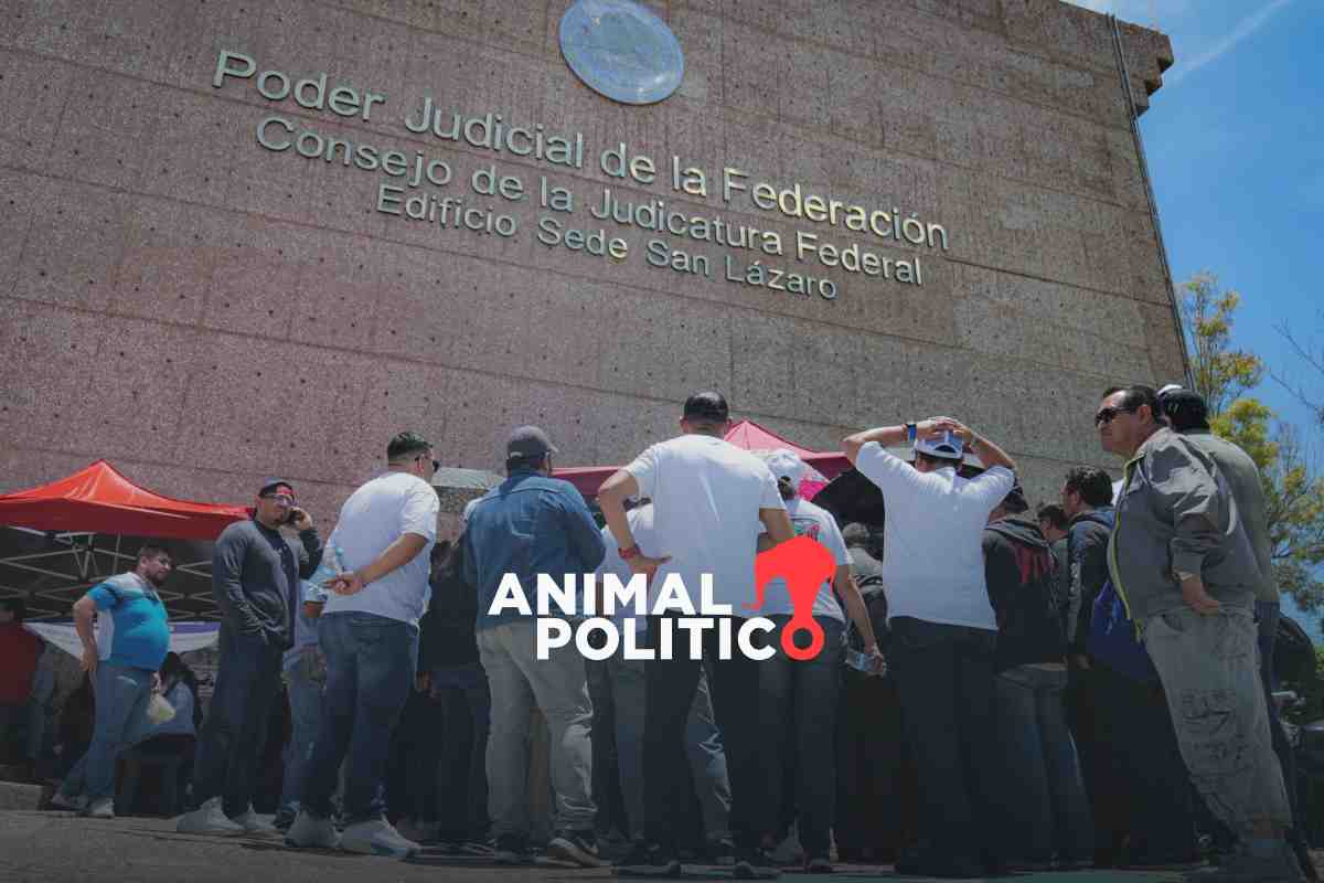 Conceden el primer amparo para echar atrás la reforma judicial; Congreso "excedió facultades": jueza