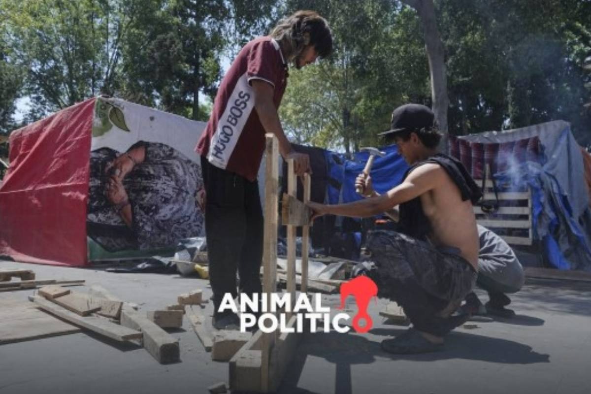 México dio refugio a 150 mil 800 personas y recibió 266 mil 700 solicitudes de asilo en 2024