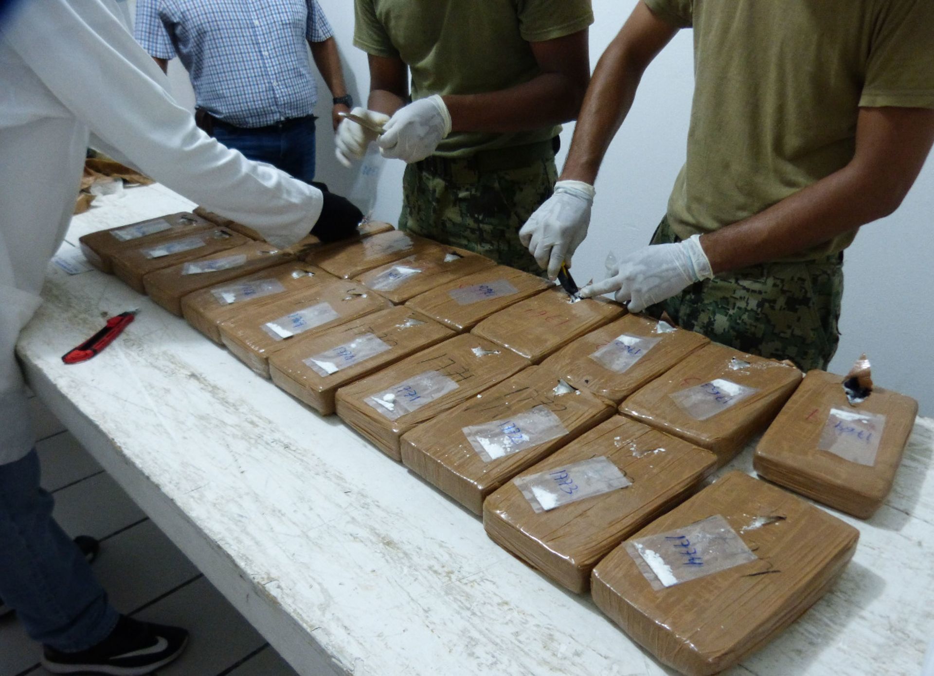 Republicanos presentan iniciativa para declarar como terroristas a los cárteles de la droga