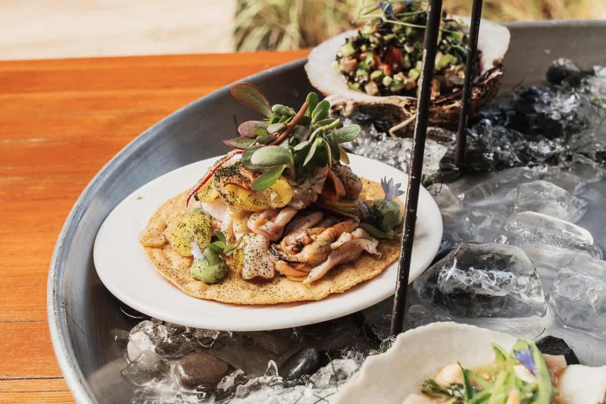 Valle de Guadalupe: lugar con más estrellas Michelin per cápita en América