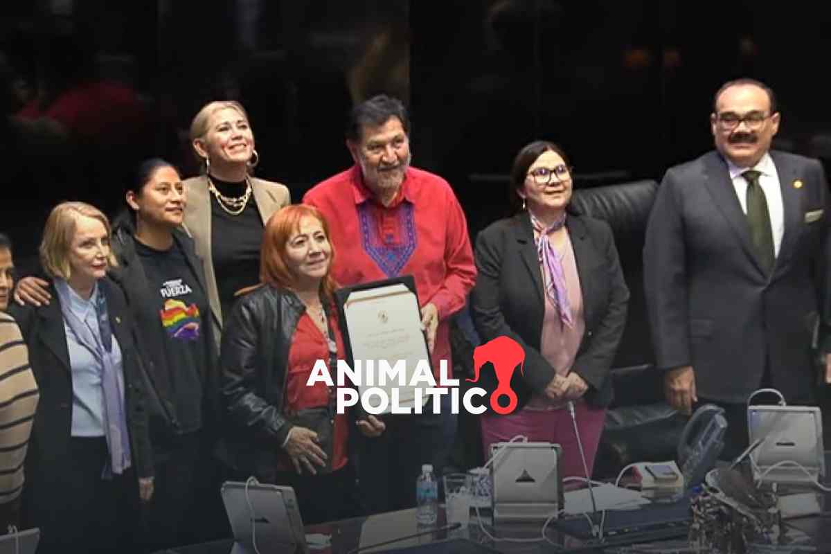 Morena impone a Rosario Piedra cinco años más al frente de la CNDH, a pesar de omisiones y críticas