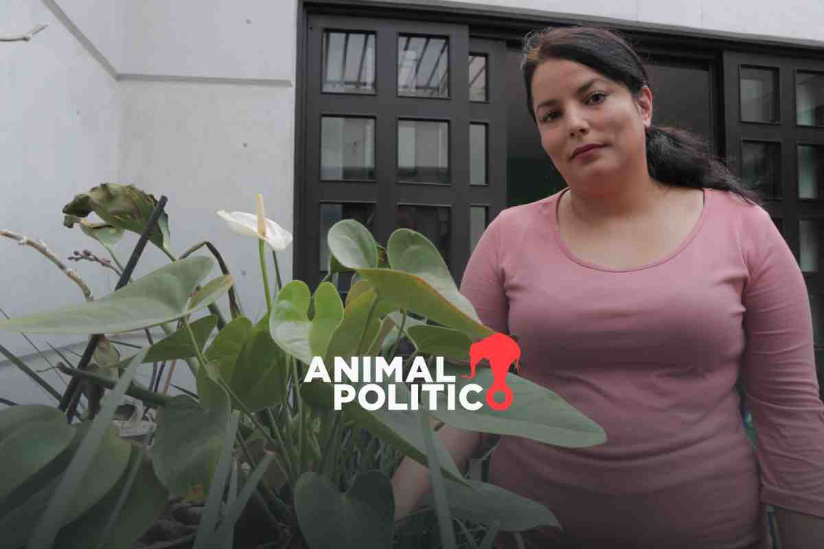 Víctimas se enfrentan a instituciones que no garantizan atención integral a su salud mental