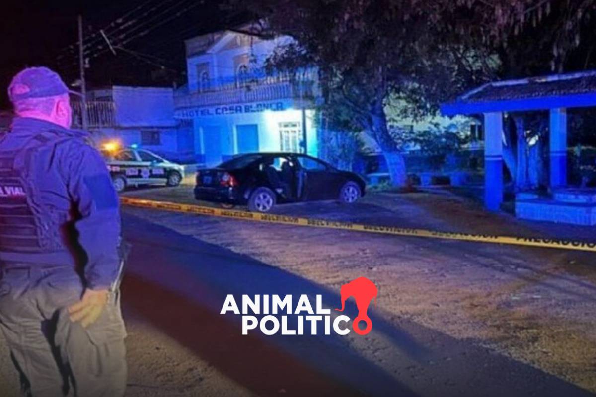 Estudiantes, exreina de belleza e integrante de una banda entre víctimas de masacre de Salvatierra