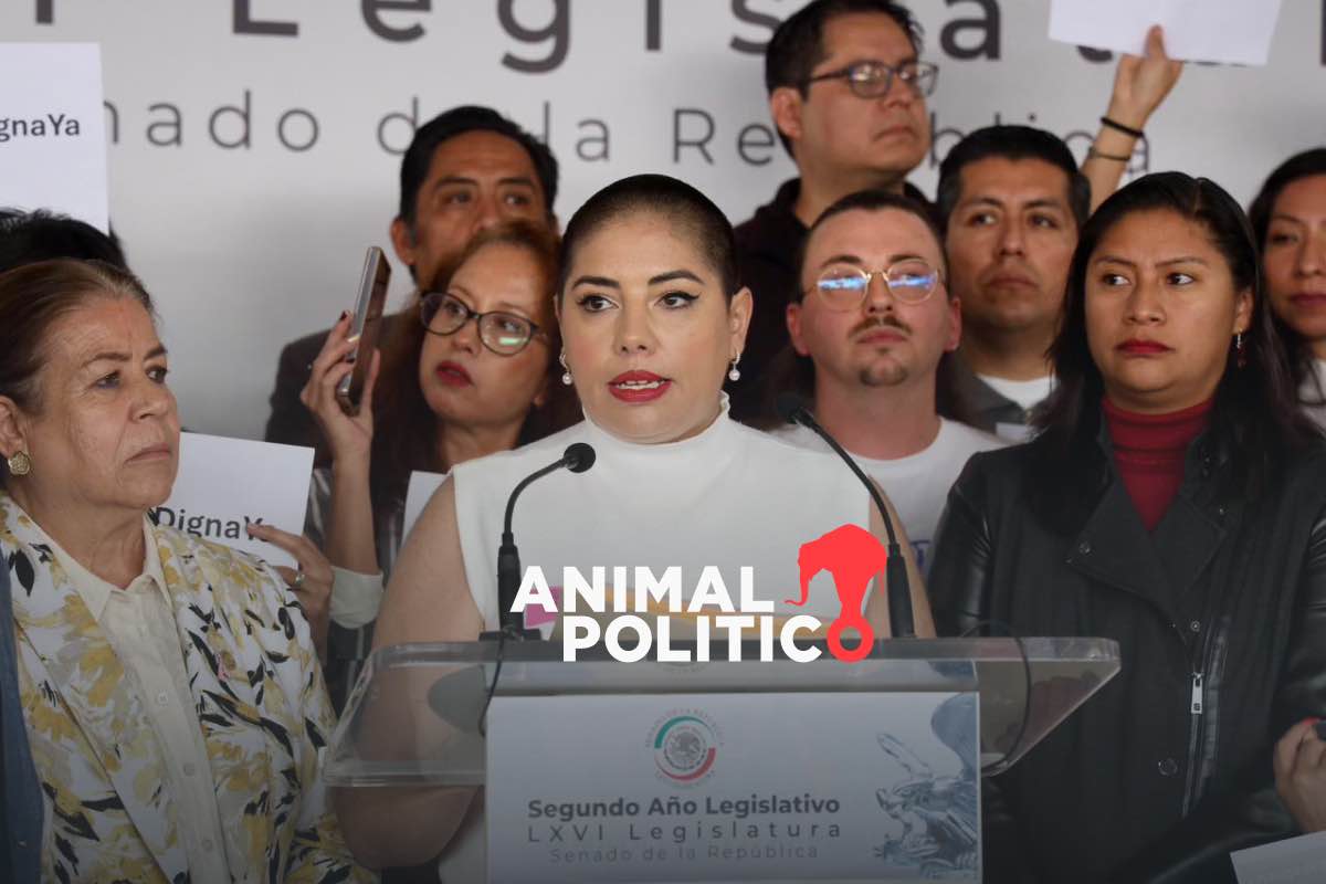 "Este año se va a lograr”: Ley Trasciende, la lucha de Samara por legalizar la eutanasia en México