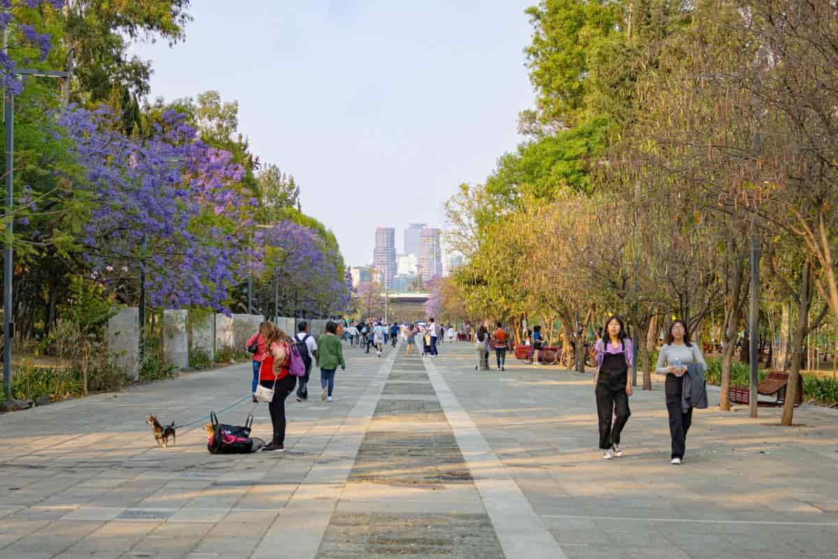 10 lugares que debes conocer de la Segunda Sección de Chapultepec