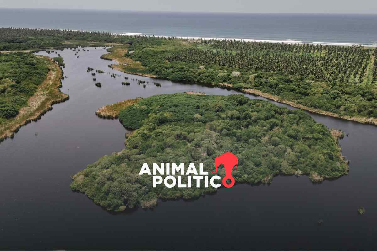 Marina impone megaproyecto en Manzanillo; la Laguna de Cuyutlán, bajo amenaza