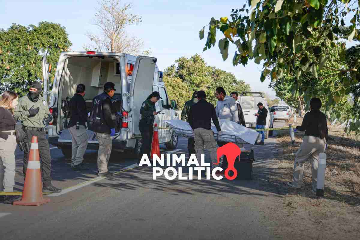 Permanecen en el Semefo de Mazatlán más de 500 cuerpos sin identificar y 9 personas identificadas