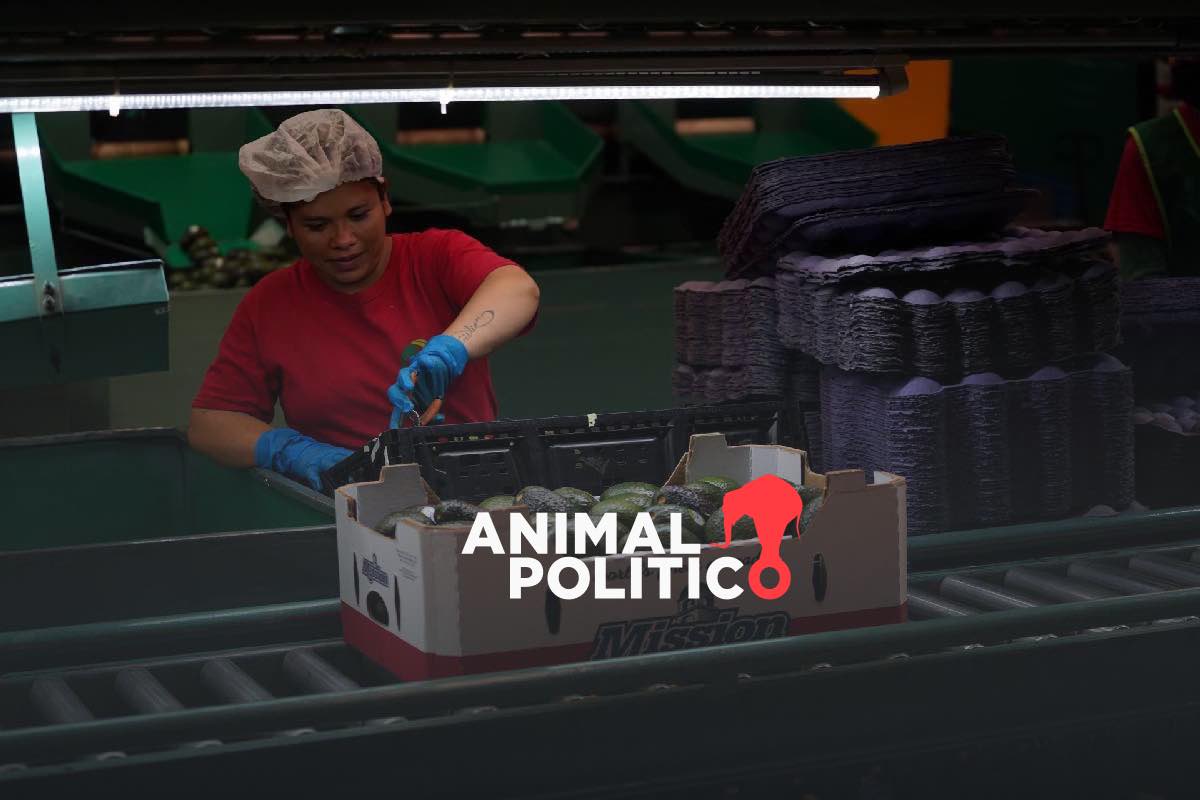 Más tiempo extra y peor pagado, el costo de la jornada laboral de 40 horas