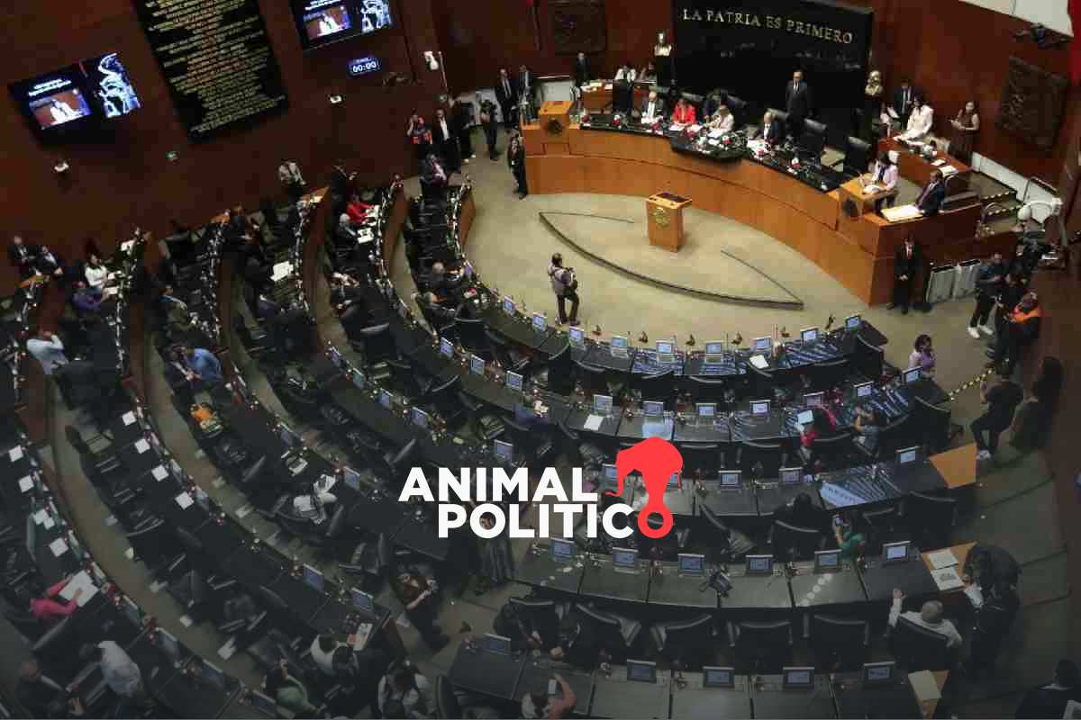 Senado recibe iniciativas presidenciales sobre reforma a la Ley de Amparo y la protección industrial