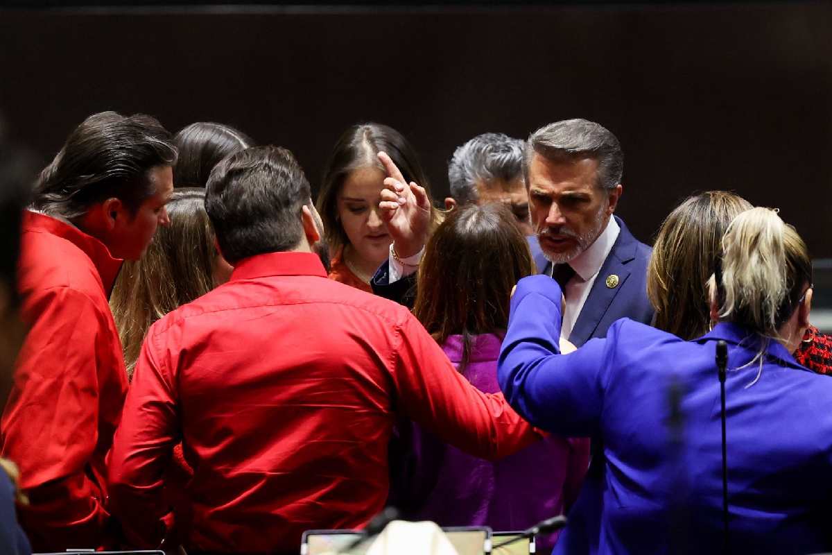 Sergio Mayer vuelve a Diputados tras reality show y ofrece disculpa; “fue políticamente incorrecto”, dice