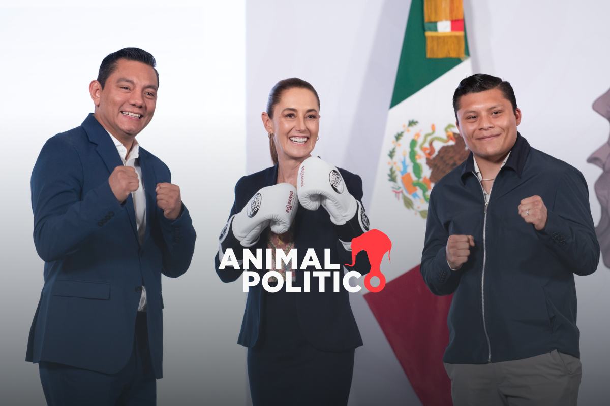 Boxeo por la Paz: anuncian clases gratuitas para 100 mil jóvenes y trabajo para 5 mil boxeadores