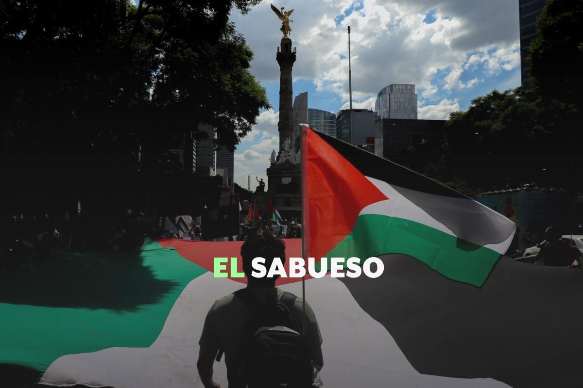 Sheinbaum y el genocidio en Gaza: ¿qué le corresponde a México tras reconocer crimen en Palestina? 