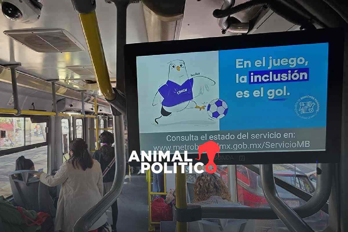 “Sin derechos no hay juego limpio”: la CDHCM presenta campaña para prevenir abusos en el Mundial