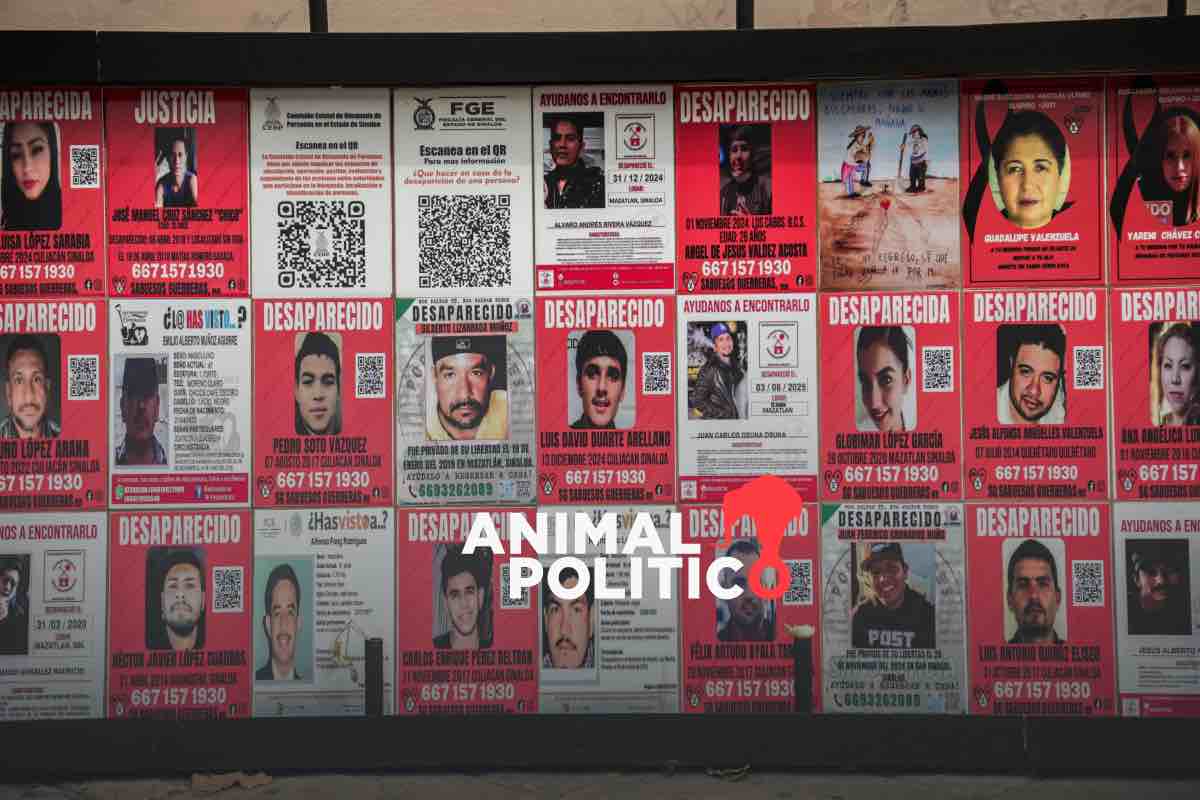 ¿Qué pasó con los mineros en Concordia?: fosas, exigencia de colectivos y versiones encontradas