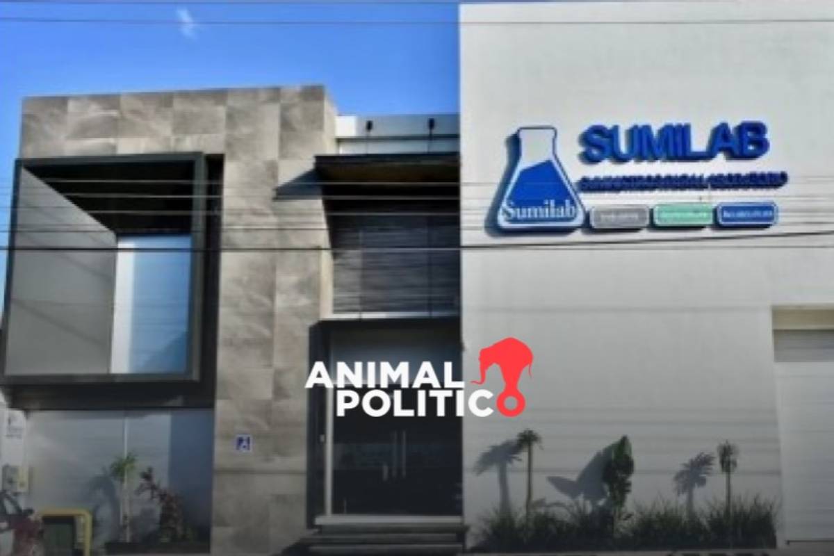 EU sanciona a 8 personas y red de empresas por suministrar precursores de fentanilo a Los Chapitos