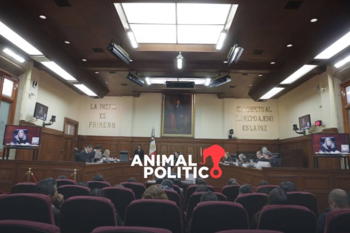 Tribunal resuelve pedir a Corte atraer caso de Guadalupe Barajas, hallada en una fosa en Guanajuato