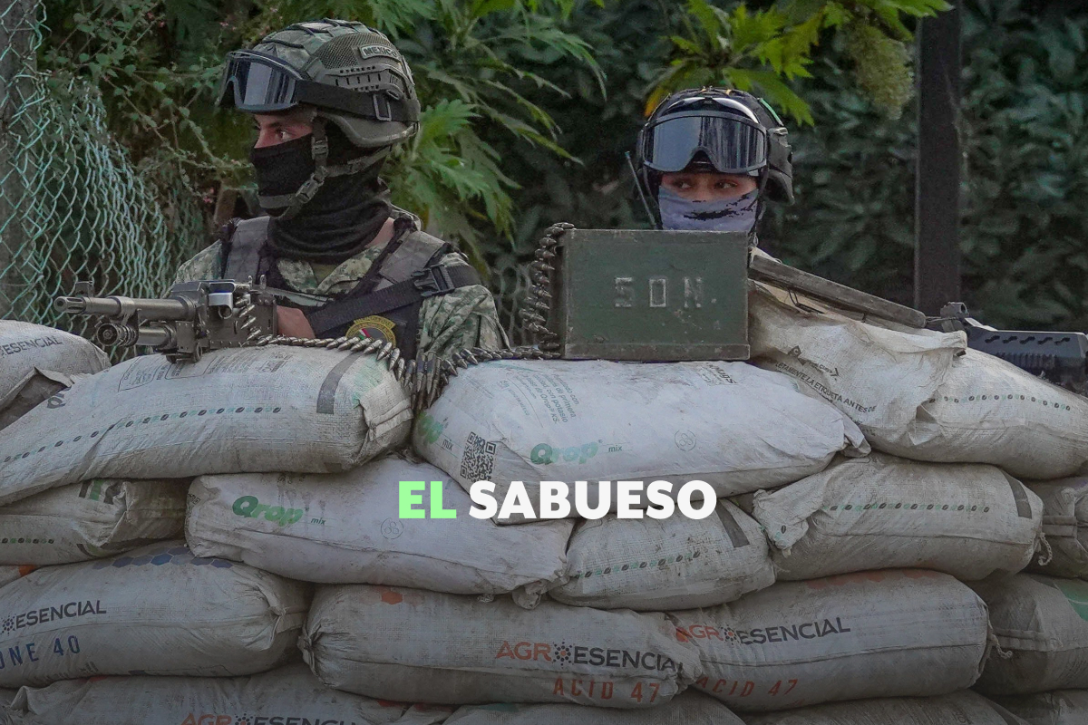 Fuerzas armadas de México tienen limitaciones para preservar la seguridad nacional: especialistas