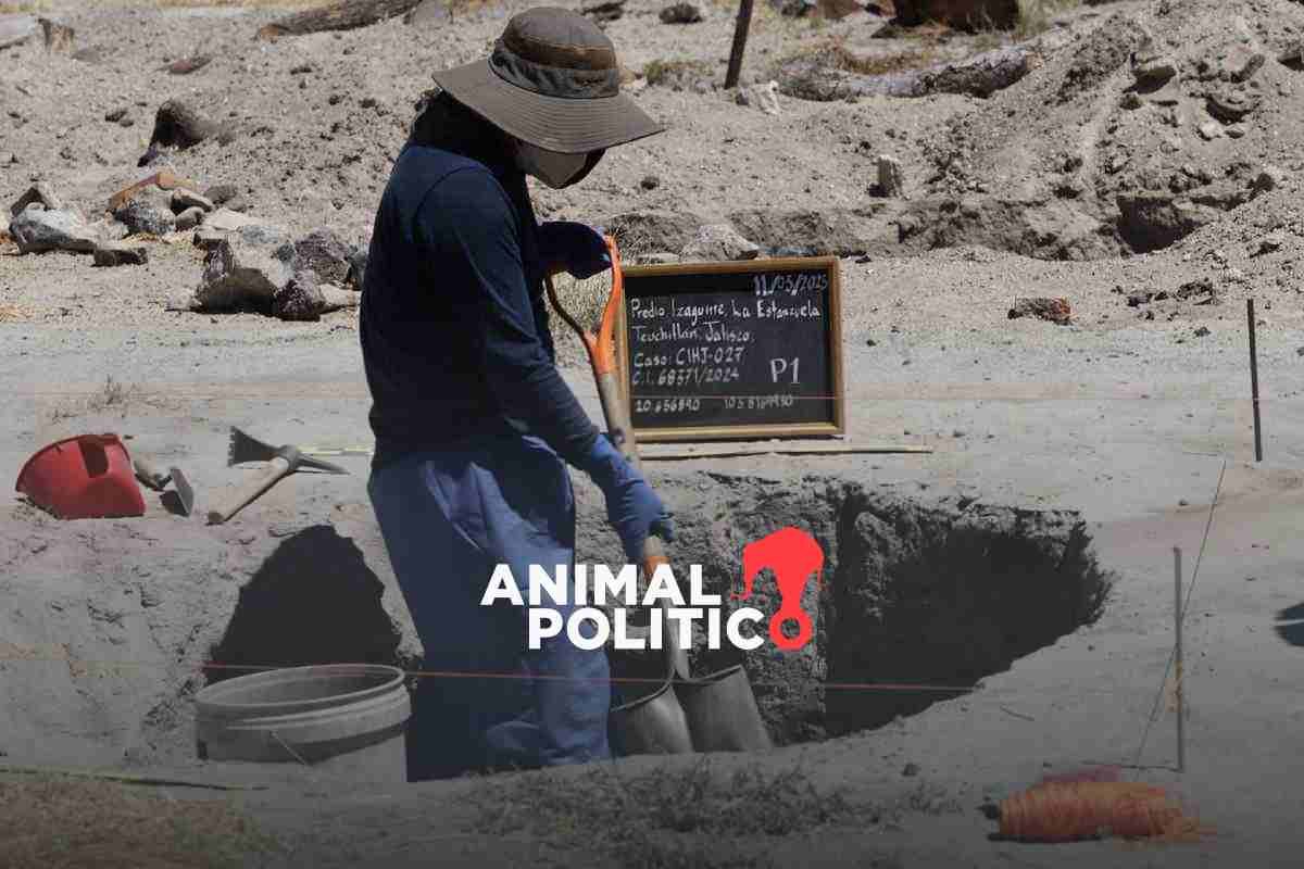 Rancho de Teuchitlán: el 'centro de exterminio' del CJNG operaba desde 2018; alcalde se deslinda