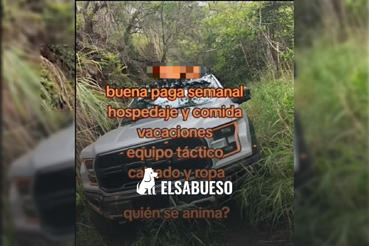 Cuentas en TikTok sofistican el reclutamiento criminal y normalizan prácticas delictivas