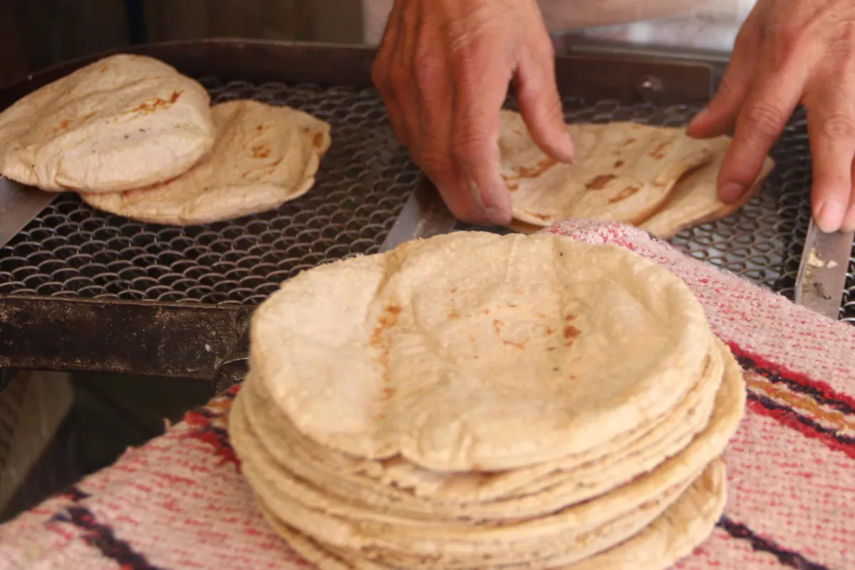 Haz tus pedidos a la primera tortillería comunitaria de maíz nativo en CDMX