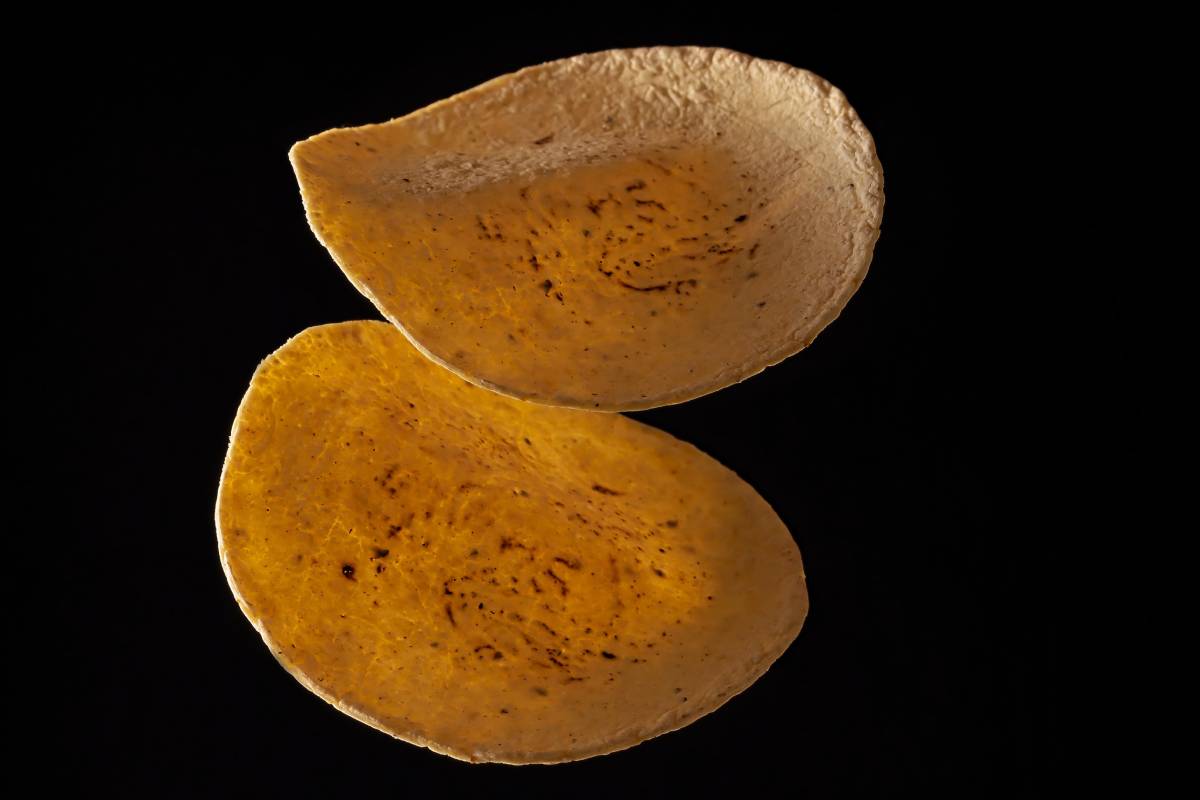 58 Tortillas orbitarán la luna: Conoce el menú para la tripulación de Artemis II