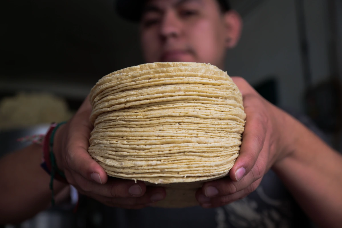 Una persona sostiene entre las manos un kilo de tortillas.