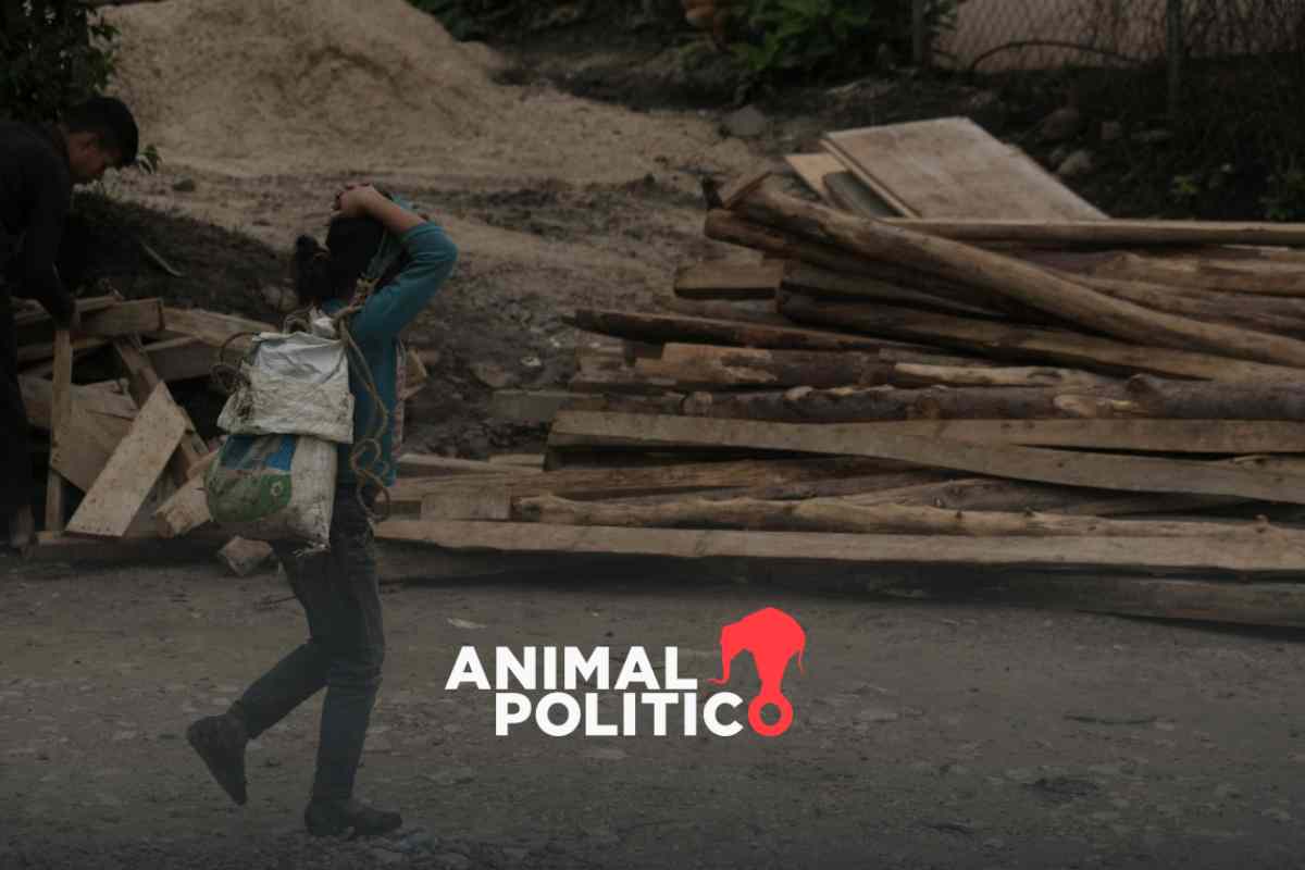 Secretaría del Trabajo hará inspecciones extraordinarias para erradicar el trabajo infantil en CDMX