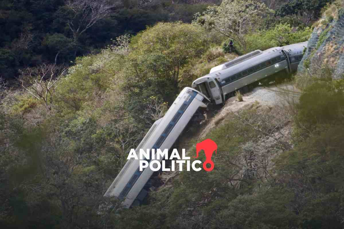 Descarrilamiento del Tren Interoceánico en Oaxaca fue por exceso de velocidad: FGR