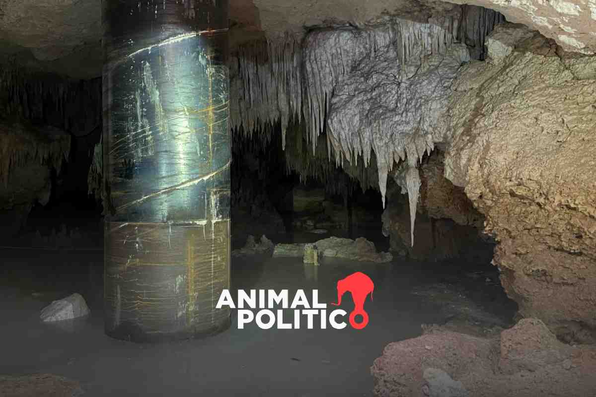 "Estaba llena de cemento”: ambientalistas documentan daños en cuevas y cenotes en ruta del Tren Maya