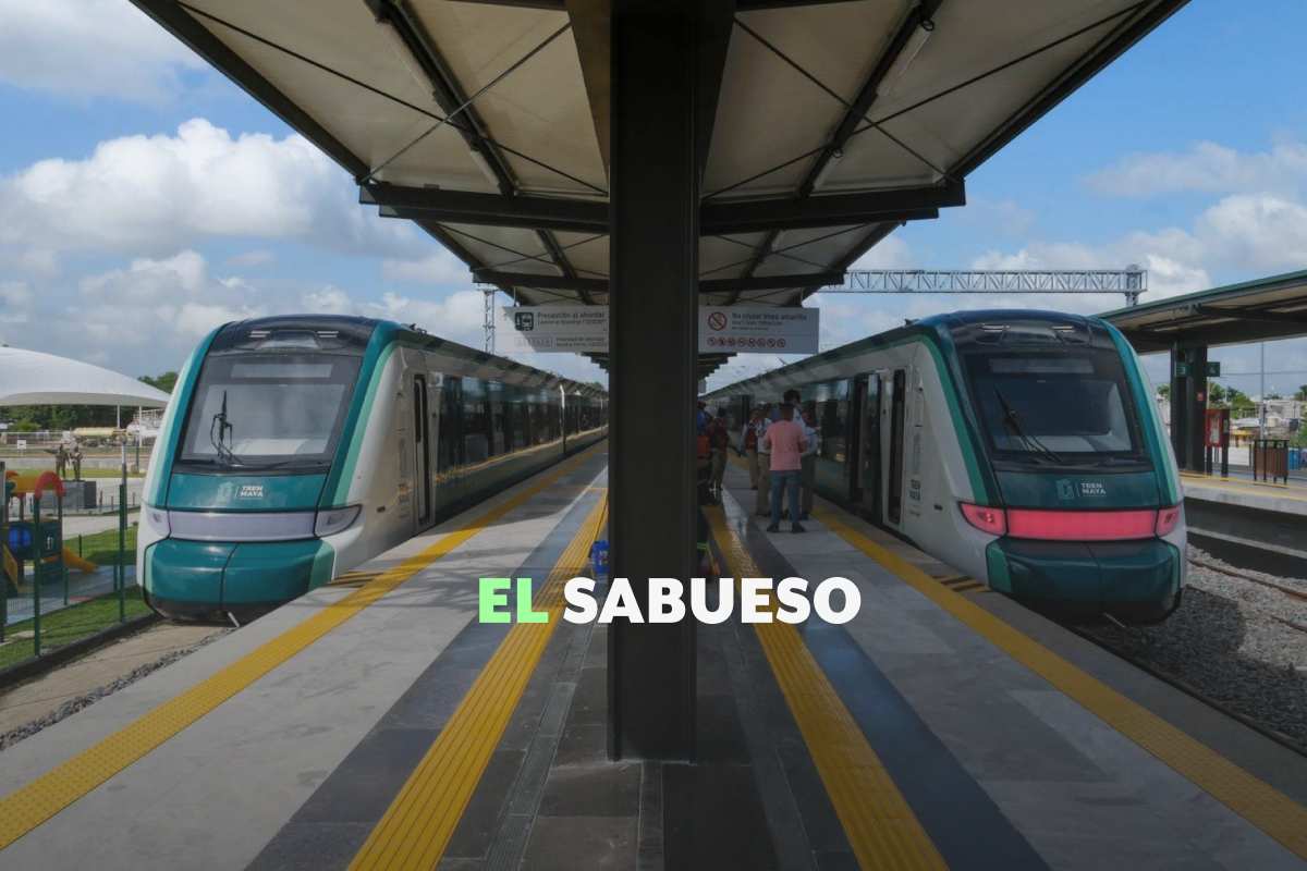 Ingresos del Tren Maya solo cubrieron 12 % de sus gastos de operación en primeros 9 meses del año 