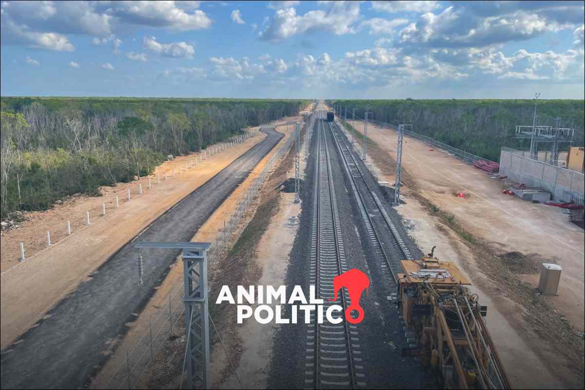 Tribunal frena obras del Tramo 5 del Tren Maya hasta que se hagan revisiones ambientales