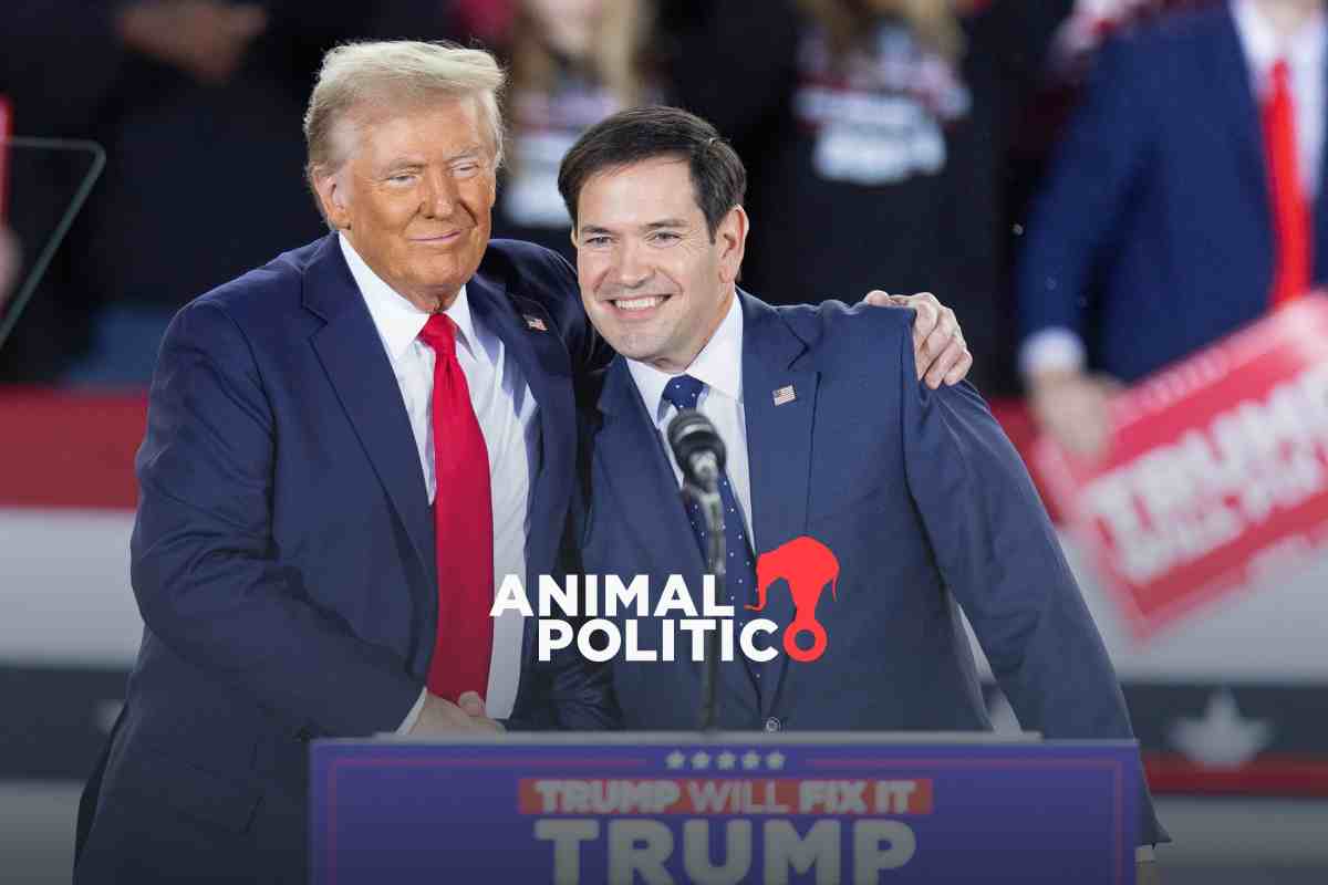 Trump prevé nombrar al senador Marco Rubio como secretario de Estado, según New York Times