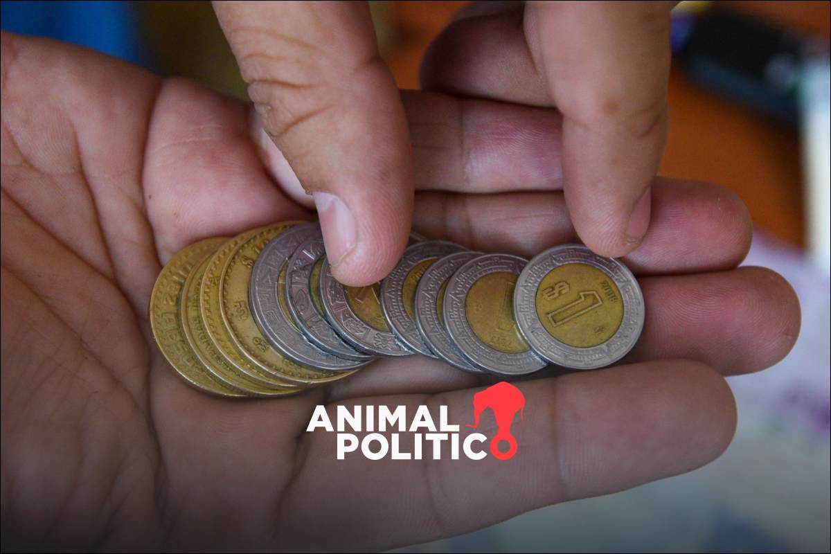 UMA sube 4.66% en 2024: Te contamos qué es y para qué se usa en México 