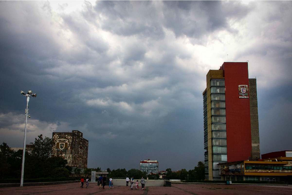 Nuevo rector en la UNAM: Anuncian visitas en campus para conocer opinión de universitarios