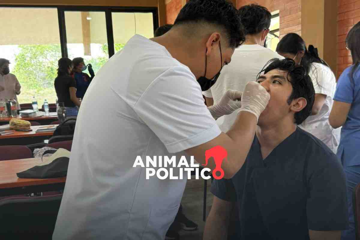 Universidad del Bienestar deja sin beca a alumnos de medicina; recursos están aprobados hace 7 meses