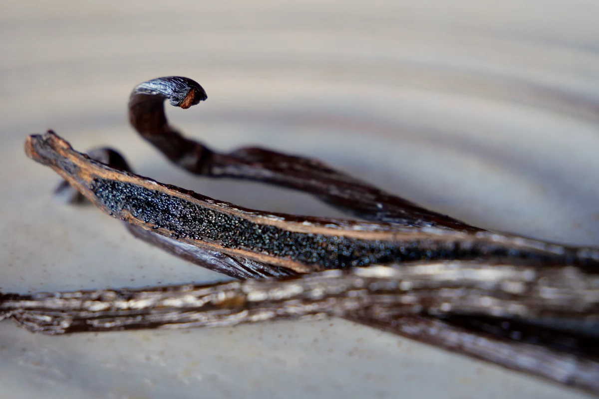 Vainas de vainilla naturales