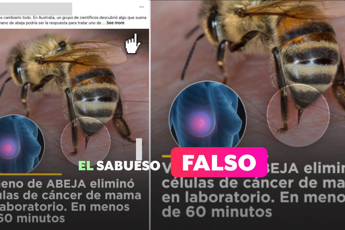 ¿El veneno de abeja elimina las células de cáncer de mama en 60 minutos? Falso, no hay evidencia