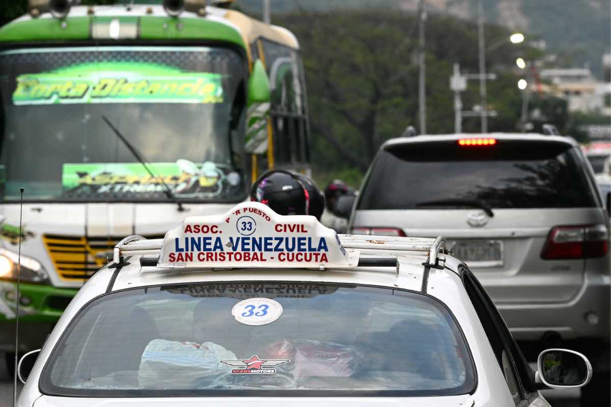 venezuela-despues-invasion-animal-politico