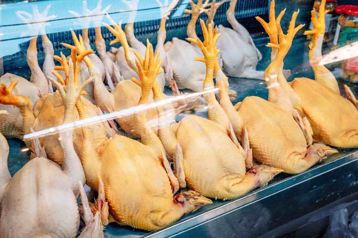 Beneficios de las patitas de para la salud y la piel