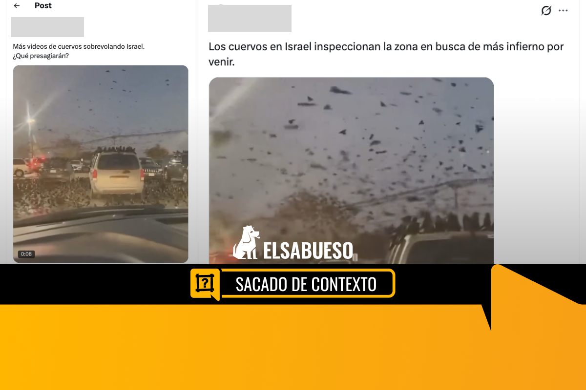 Este video de “cuervos en Israel” circula desde 2024 y fue grabado en Texas