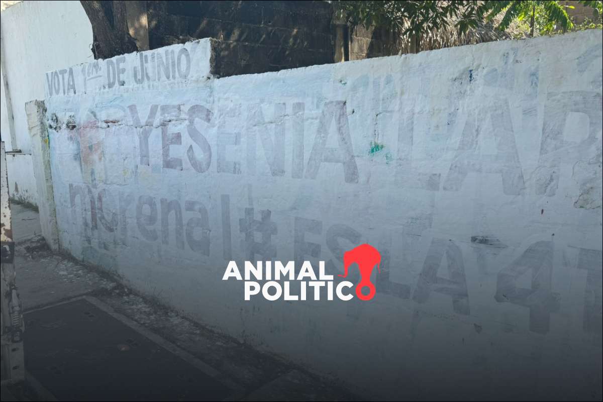 “¿Quién no va a tener miedo de salir a votar?”: las elecciones en Veracruz marcadas por la violencia