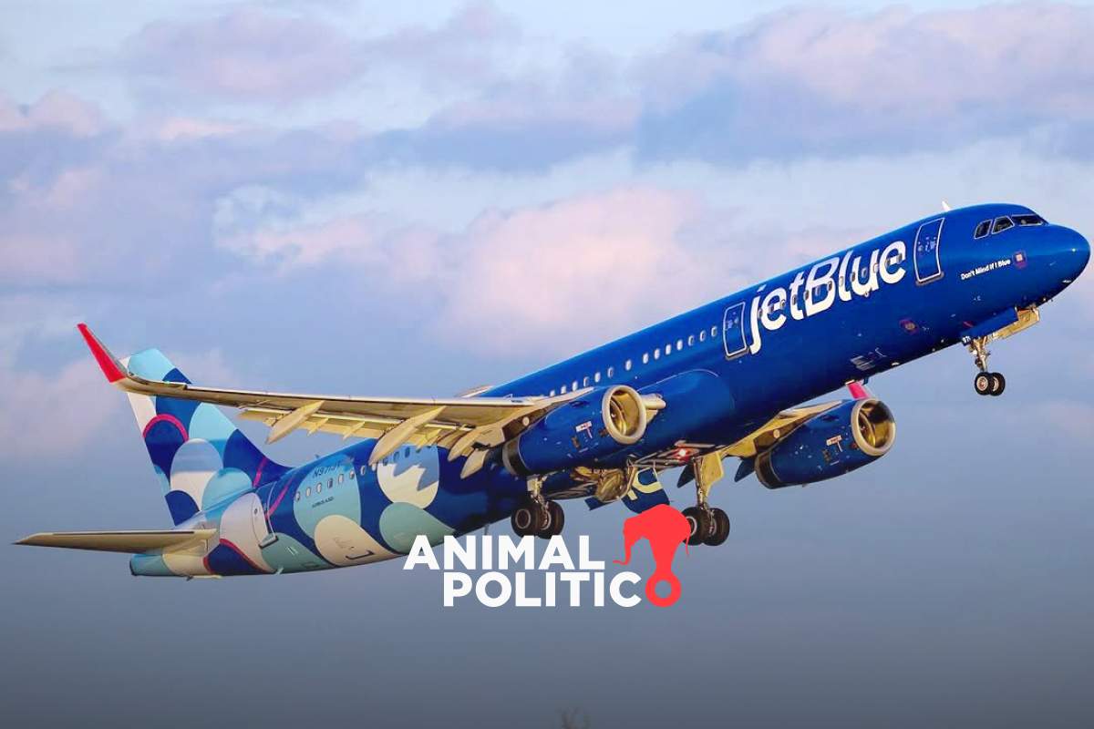 Vuelo de JetBlue proveniente de Cancún aterriza de emergencia en Florida; reportan varios heridos