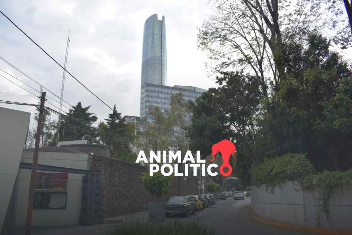 Xoco bajo asedio: el testimonio de un pueblo originario frente a la gentrificación y violencia