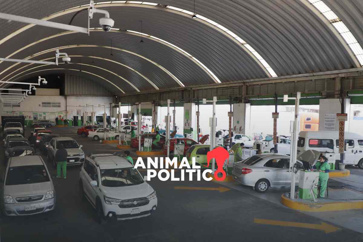 ¿Se acabó la verificación vehicular en Jalisco? aprueban medida en comisiones; esto debes saber