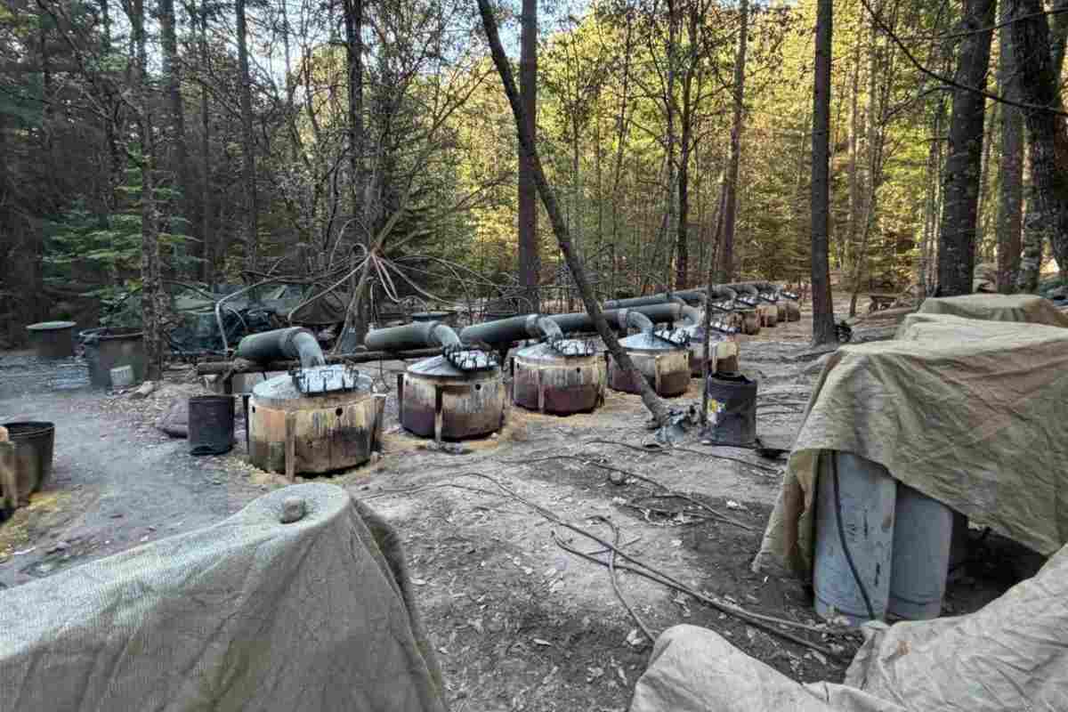 cia-chihuahua-muerte-agentes-dudas-presencia