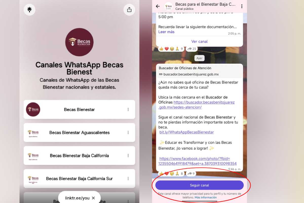 Así puedes registrarte en un canal oficial de las becas para el bienestar