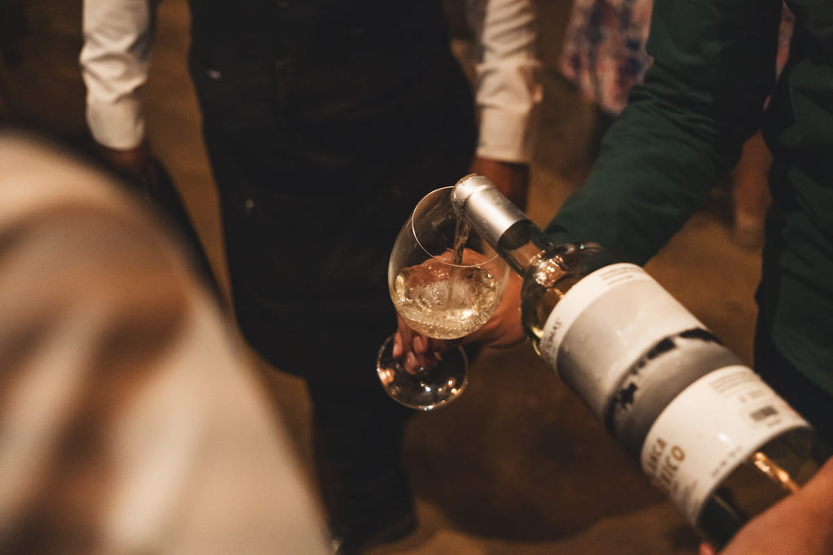 viñedo Valle de Guadalupe